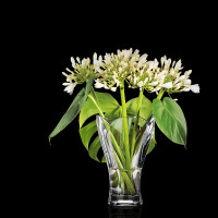 Ваза , 24 см, хрустальное стекло, серия Calypso, NACHTMANN, Германия_00784350044343982989.jpg