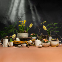 Миска для смешивания, 28 см, 4.2 л, керамика, кремовый, серия Birds of Paradise, LIBERTY JONES, Россия_00812580065674879077.jpg