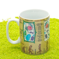 Кружка «Биология», 490 мл, фарфор, декор, KOENITZ, Германия_00809230055114503819.jpg