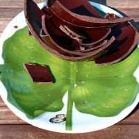 Блюдо сервировочное овальное, 40,5 х 26 х 2 см, костяной фарфор, зеленый, серия Freedom, TAITU, Италия_00809520045009116606.jpg