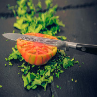 Нож кухонный для томатов 13 см, серия Riviera, ARCOS, Испания_00813340045297646210.jpg