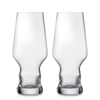 Набор из 2-х бокалов для пива, объем: 450 мл, материал: бессвинцовый хрусталь, серия Craft Beer Experts, EISCH, Германия, 