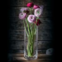 Ваза , 25 см, хрустальное стекло, серия Style, NACHTMANN, Германия_00815470063918935883.jpg