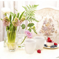 Кружка Emilyl, 350 мл, фарфор, белый, WALMER, Великобритания_00812220070368742630.jpg