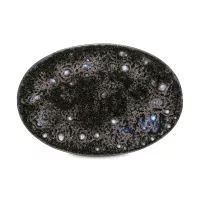 Блюдо овальное Iris, 27.5 х 19 см, керамика, черный, коричневый, серия Roda, COSTA NOVA, Португалия, 