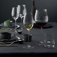 Бокал для белого вина SAUVIGNON BLANC, 400 мл, 26.1 см, хрусталь, серия Superleggero, RIEDEL, Австрия_00815380045063354901.jpg