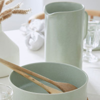 Тарелка для пасты Bay Leaf, 25 см, керамика, оливковый, серия Redonda, COSTA NOVA, Португалия_00818100067458502164.jpg