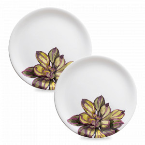 Набор из 2-х обеденных тарелок, 27 см, керамика, белый, декор, серия Cactus, NUOVA CER, Италия, NUOVA CER (Италия)