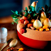 Чаша для фруктов и овощей с крышкой, 35 см, керамика, красный, EMILE HENRY, Франция_00801930047161016152.jpg