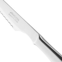Нож столовый для стейка 110 мм, серия Steak Knives, ARCOS, Испания_00823910045278225488.jpg