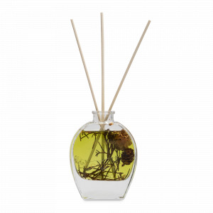 Диффузор ароматический Sparkling Lemon, 80 мл, с наполнением, зеленый, серия Aroma, ANNA LAFARG, Китай, Ароматы для дома