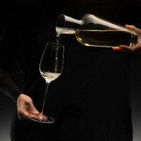 Бокал для игристых вин CHAMPAGNE WINE, 464 мл, 26 см, хрусталь, серия Superleggero, RIEDEL, Австрия_00815380044983655387.jpg