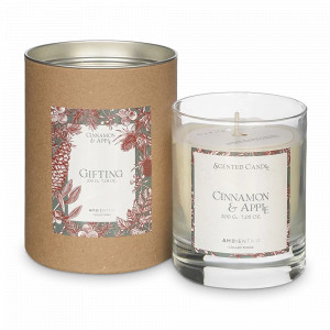 Свеча ароматическая «Cinnamon and Apple» New Design, 40 часов горения, воск, стекло, серия Gifting, AMBIENTAIR, Испания, Ароматы для дома