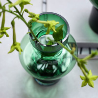 Ваза Florum, 30 см, стекло, зеленый, BERGENSON BJORN, Великобритания_00821110062235793976.jpg