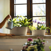 Кашпо для комнатных растений, 39 х 23 см, биопластик, серо-бежевый, серия Tierra, GUZZINI, Италия_00819850047491177679.jpg