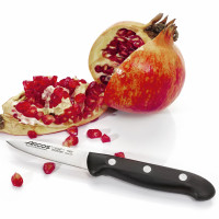 Нож кухонный для чистки 8 см, серия MAITRE, ARCOS, Испания_00813310043461157886.jpg