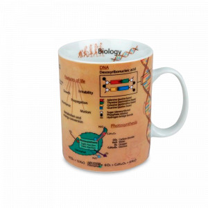 Кружка «Биология», 490 мл, фарфор, декор, KOENITZ, Германия, Большие кружки