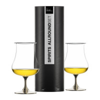 Набор из 2-х бокалов для крепких напитков, 220 мл, декор - платиновый, хрустальное стекло, серия Gentleman, EISCH, Германия_00817070058031277121.jpg