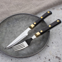 Вилка для стейка с пластиковой ручкой 9 см, серия STEAK, ARCOS, Испания_00823910048150434481.jpg