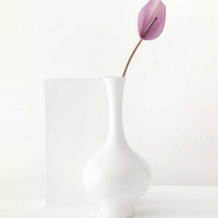 Ваза Exir, 33 см, фарфор, белый, WALLENDORFER, Германия_00813280065141696222.jpg