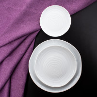 Тарелка пирожковая, диаметр 16,5 см, фарфор, серия Teck, PILLIVUYT, Франция_00812920065230861783.jpg