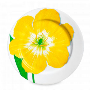 Тарелка обеденная, 27 см, костяной фарфор, белый, желтый, серия Freedom, TAITU, Италия, Скидка  до -20% на фарфор TAITU