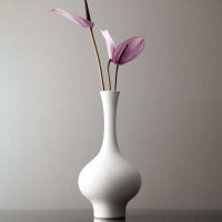 Ваза Exir, 33 см, фарфор, белый, WALLENDORFER, Германия_00813280065146274364.jpg