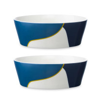 Набор салатников, 2 предмета, 16 см, фарфор, синий с авторским принтом, серия Freak Fruit, TKANO, Россия