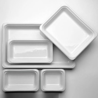 Противень - гастроформа для запекания, керамика, 53 х 16 х 6.5 см, белый, EMILE HENRY, Франция_00820860058102043649.jpg