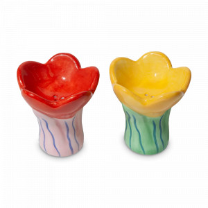 Набор из солонки и перечницы, 11.2 см, керамика, серия Bloom, DOIY, Испания, DOIY (Испания)