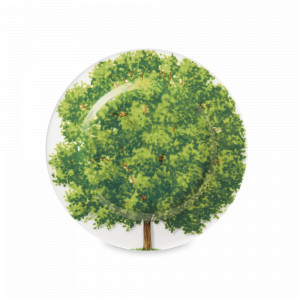 Тарелка закусочная, 16 см, костяной фарфор, белый, зеленый, серия Freedom, TAITU, Италия, Тарелки зеленые