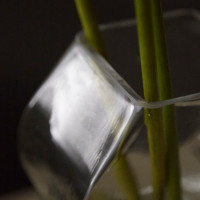 Ваза Wavy, 25 см, стекло, прозрачный, BERGENSON BJORN, Великобритания_00817540060324746910.jpg