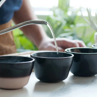 Чашка меняющая цвет для каппинга (дегустации кофе), 220 мл, фарфор, черный, серия Roasters, LOVERAMICS, Гонконг_00815540051780338038.jpg