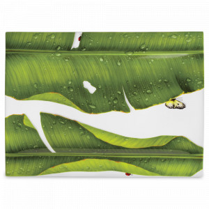 Блюдо сервировочное, 40 х 29 х 2 см, костяной фарфор, белый, зеленый, серия Freedom, TAITU, Италия, TAITU (Италия)