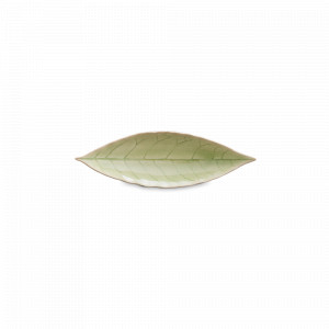 Блюдо сервировочное Vert frais, 18 х 6 см, керамика, оливковый, серия Riviera, COSTA NOVA, Португалия, Riviera COSTA NOVA