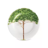 Тарелка закусочная, 16 см, костяной фарфор, белый, зеленый, серия Freedom, TAITU, Италия, 