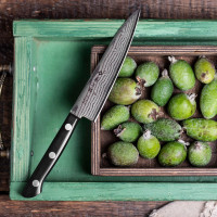 Нож кухонный универсальный, 13.5 см, серия Western Knife, TOJIRO, Япония_00812930054931546395.jpg