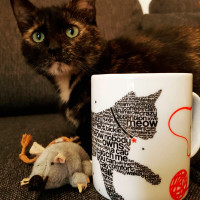 Кружка «Шрифт кот», 330 мл, фарфор, белый, KOENITZ, Германия_00809240058295162747.jpg