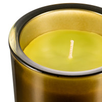Свеча ароматическая Летняя тайна, 9 см, стекло, зеленый, Rasteli, Бельгия_00812310070370671087.jpg