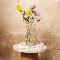 Ваза для цветов Body, 27 см, стекло, прозрачный, DOIY, Испания_00819740048165197365.jpg