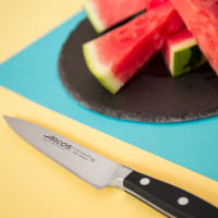 Профессиональный поварской кухонный нож 15 см, серия Manhattan, ARCOS, Испания_00813350054965305286.jpg