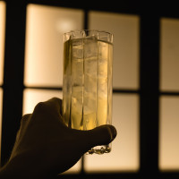 Набор из 2-х бокалов для коктейля FIZZ, 265 мл, 16,3 см, хрусталь, серия Riedel Bar, RIEDEL, Австрия_00801660051818291461.jpg