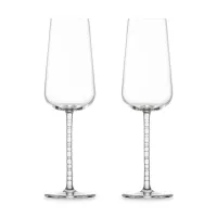 Набор из 2-х фужеров для шампанского, 358 мл, серия Journey, ZWIESEL GLAS, Германия, 
