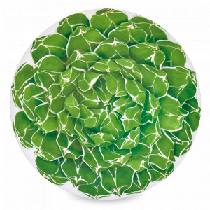 Блюдо сервировочное, 31 см, костяной фарфор, зеленый, серия Cactus, TAITU, Италия, Итальянский фарфор