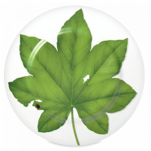 Блюдо сервировочное, 31,5 см, костяной фарфор, белый, зеленый, серия Freedom, TAITU, Италия, Итальянский фарфор