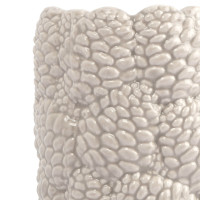 Ваза для цветов Шишки, 22 см, фарфор, бежевый, серия New Year, ANNA LAFARG, Китай_00821000058412991170.jpg