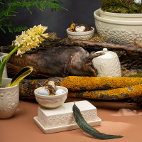 Набор салатников, 2 предмета, 190 мл, керамика, кремовый, серия Birds of Paradise, LIBERTY JONES, Россия_00812580065181202026.jpg