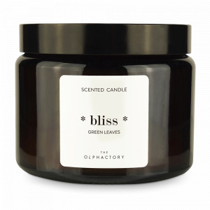 Свеча ароматическая «Green Rhubarb», 60 часов горения, воск, стекло, серия The Olphactory, AMBIENTAIR, Испания, Свечи AMBIENTAIR