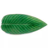 Блюдо сервировочное Tomate, 40 х 17 см, керамика, зеленый, серия Riviera, COSTA NOVA, Португалия, 