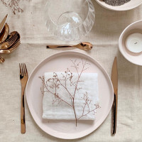 Тарелка обеденная ROSEE, 26 см, керамика, бежевый, серия Brume, GUY DEGRENNE, Франция_00810330041284691071.jpg